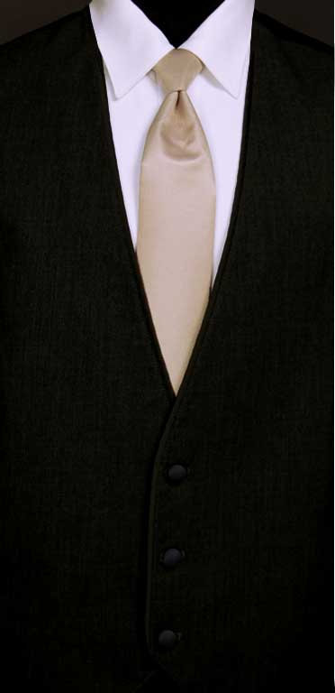 Black Bartlett vest with Taupe Windsor tie