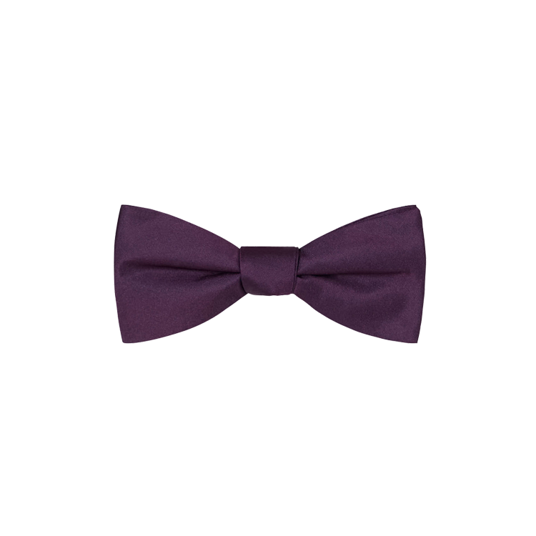 aubergine silk bow tie