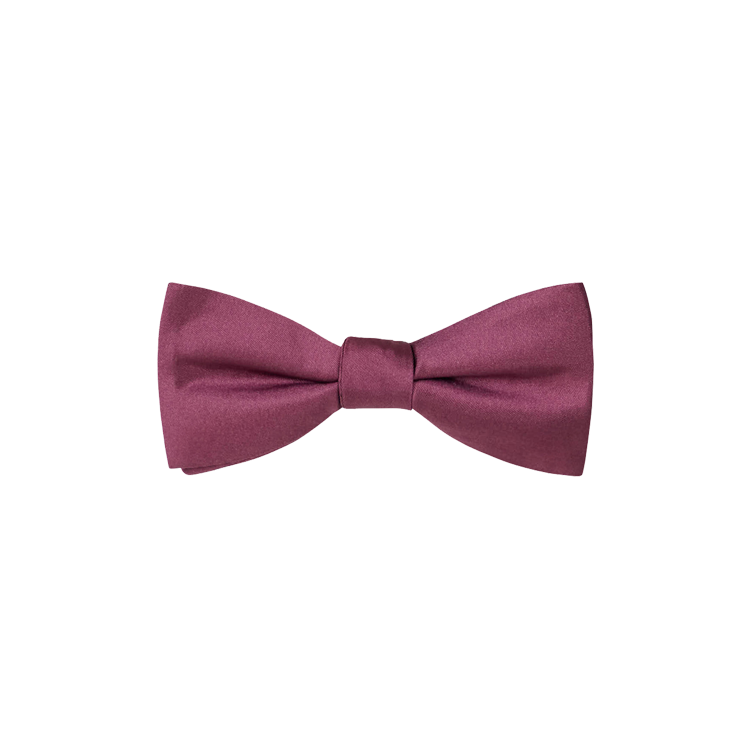 dusty plum silk bow tie