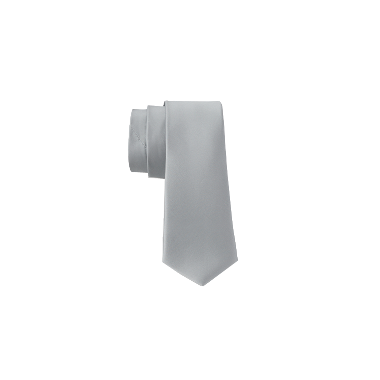 men's platinum silk long tie