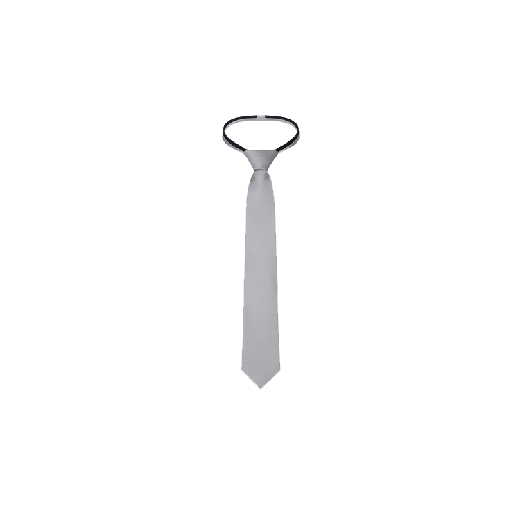 boys platinum silk zipper tie
