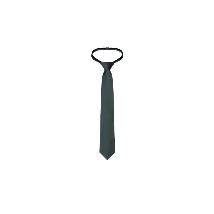 boys sage silk zipper tie