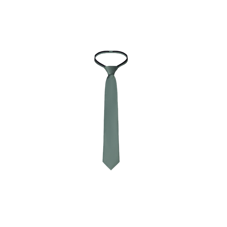 A fern color boy's silk necktie