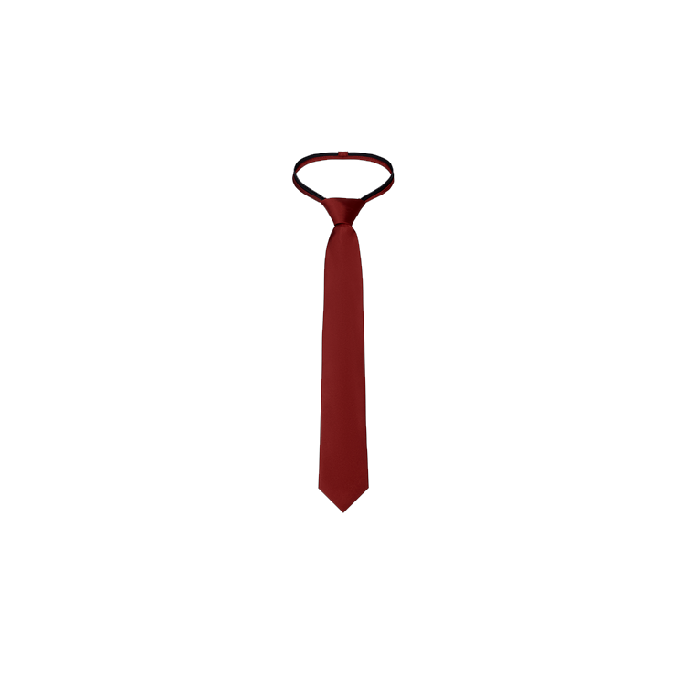 boys rust color silk zipper tie